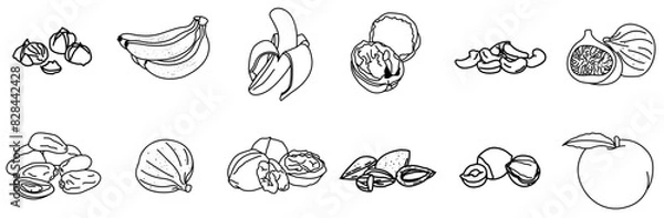 Fototapeta Set Of Fruits Icons Collection Isolated Silhouette Solid Icons Including Nut,Energy,Snack,Fresh,Fruit Vector Icons Illustration Collection