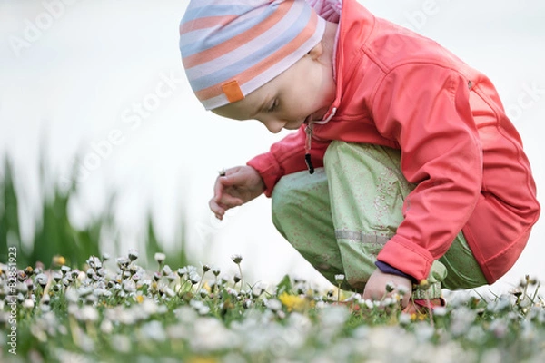 Fototapeta blumen pflücken