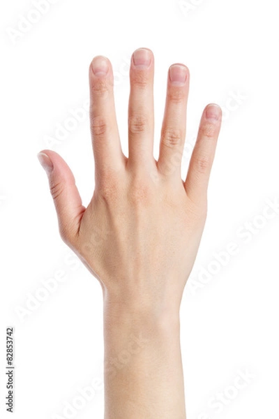 Fototapeta Woman hand making sign