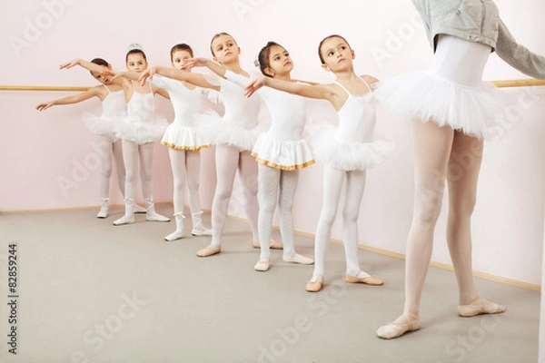 Obraz Ballet class in dance studio