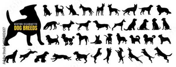 Obraz Vector set of different dog breed silhouette isolated on white background. American puppy or pet animal clip art. Wild dog doodle sketch or line art. Black dog different funny activity symbol or icon.