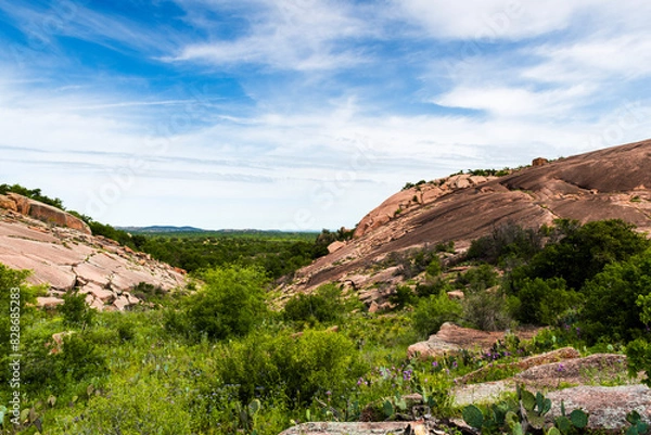 Obraz Green vegetation and pink granite stone of Enchanted rock