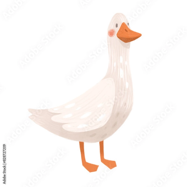 Fototapeta Vector Image of white goose, duck isolated on white
