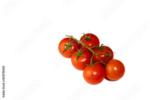 Fototapeta Bunch of isolated fresh small cherry tomatoes with green leaves on white background