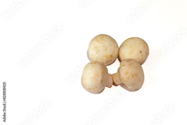 Fototapeta Champignon mushrooms, isolated on white background with white space