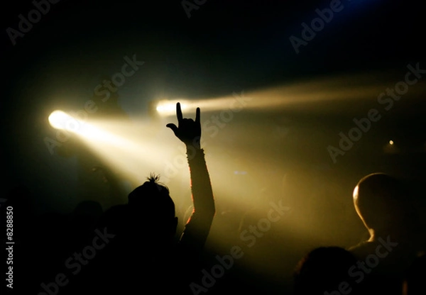 Obraz Die Hand des Fans