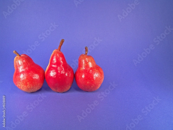 Obraz three organic pears