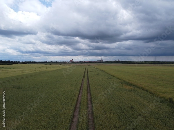 Obraz Rapsfelder vor Greifswald