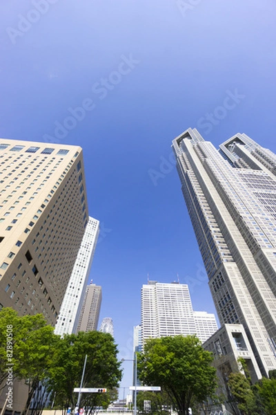 Obraz 東京都庁と新宿高層ビル群　快晴青空　新緑