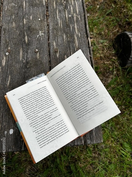 Obraz book on the grass