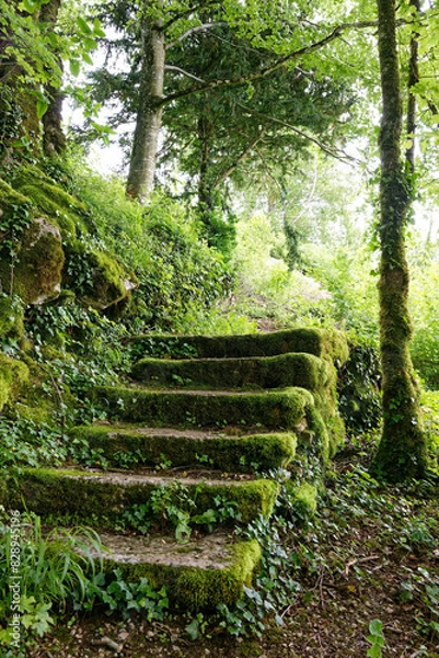 Obraz Sentiers des roches