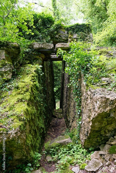 Obraz Sentiers des roches