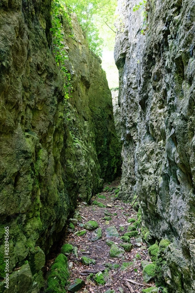 Obraz Sentiers des roches