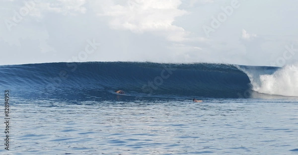 Fototapeta mentawi islands