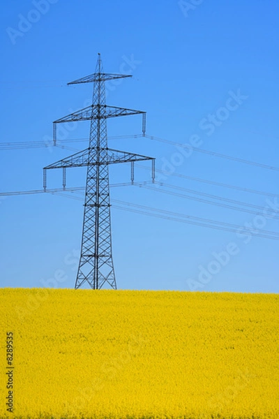 Obraz strommast und rapsfeld