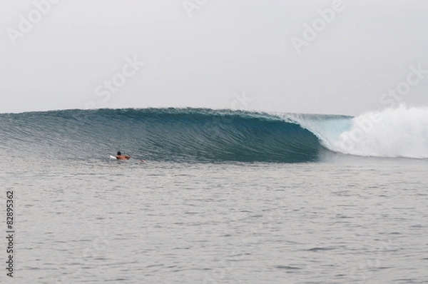 Fototapeta mentawi islands