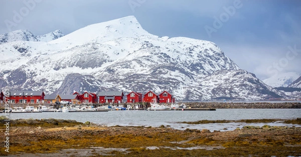 Obraz landscape with snow and mountains