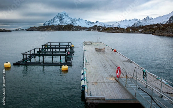 Obraz pier in the lake for salmon farming