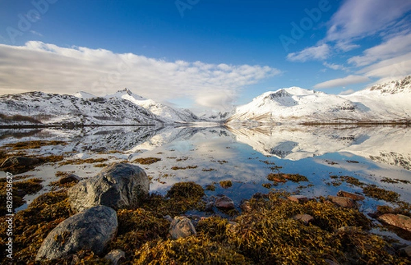 Obraz snow covered mountains in winter in Loftoten Norway
