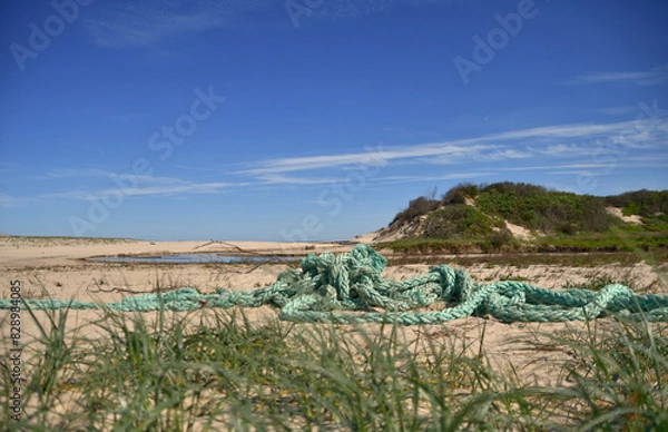 Fototapeta Strandgut