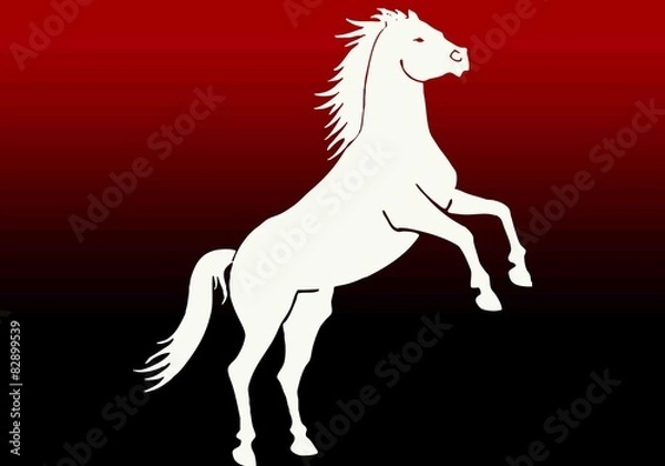 Fototapeta Cheval fond rouge et noir
