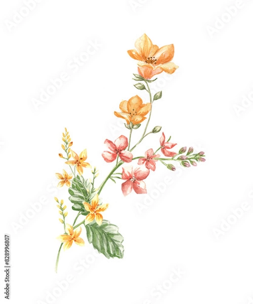 Obraz Watercolor illustration of wild summer flowers.
Can be used to create cards and invitations.
Poppies and bluebell flowers. 