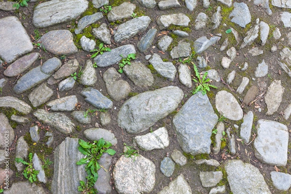 Obraz River rough stones pavement background