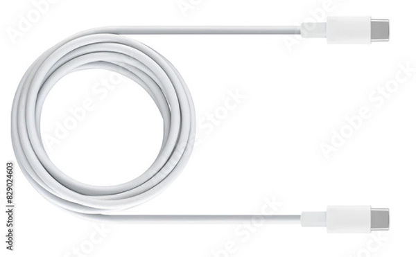 Fototapeta cable with USB and Type-C connector