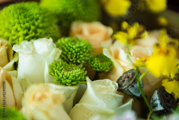 Obraz beautiful flowers