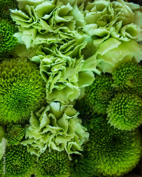 Obraz beautiful flowers