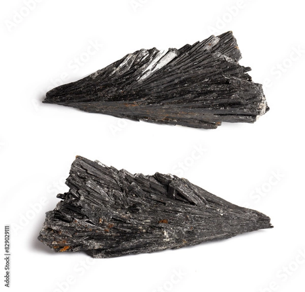 Fototapeta Black Kyanite Raw - Witches Broom stone. Isolated background. Collecting and magic concept. A hand-taken photo, not AI