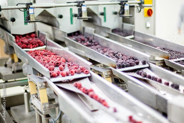 Fototapeta frozen raspberry processing business