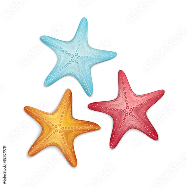 Obraz Rozgwiazda izolowana na białym tle