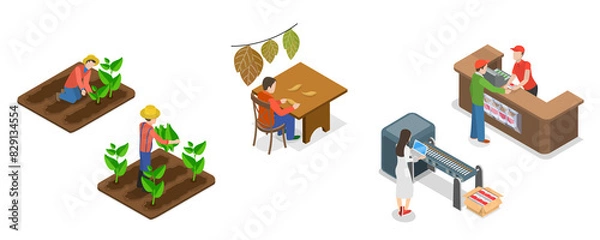 Fototapeta 3D Isometric Flat  Illustration of Tobacco Industry, Cigarette Production