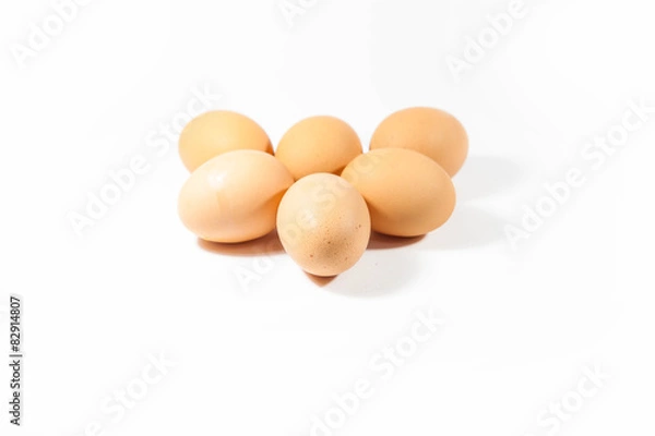 Obraz egg on white background