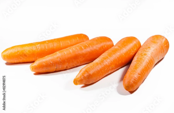 Fototapeta carrot isolate