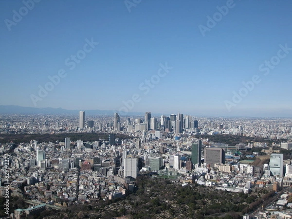 Fototapeta 東京上空から見たビル群