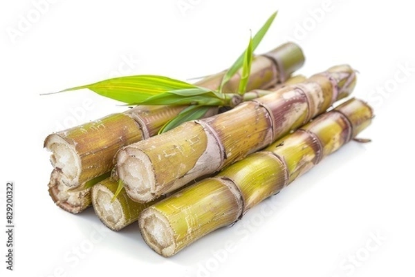 Fototapeta Sugar cane on white backdrop