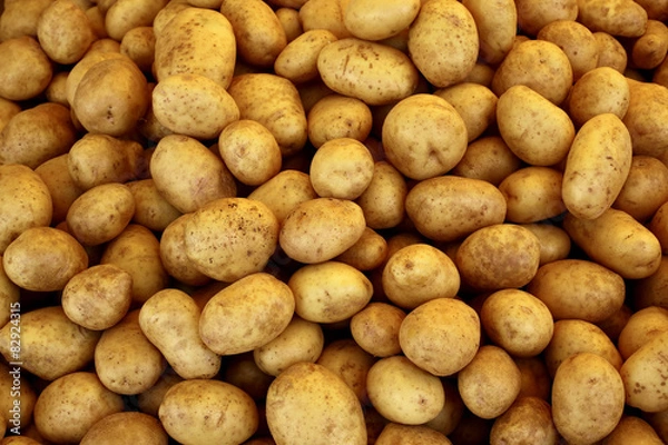 Obraz pile of raw potatoes