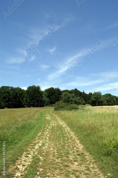 Fototapeta auf dem Lande
