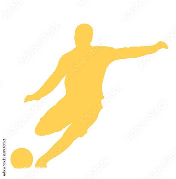 Obraz 축구 그림자