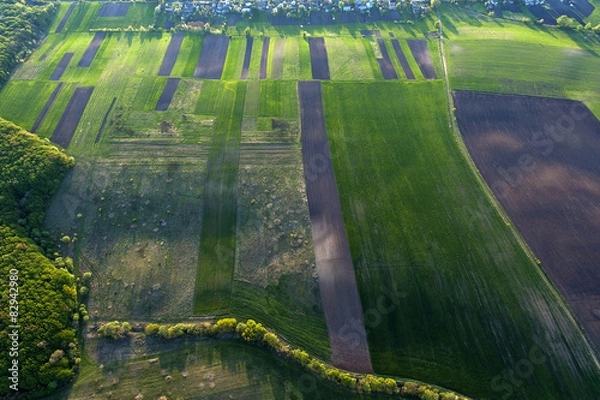 Fototapeta Green fields at springtime