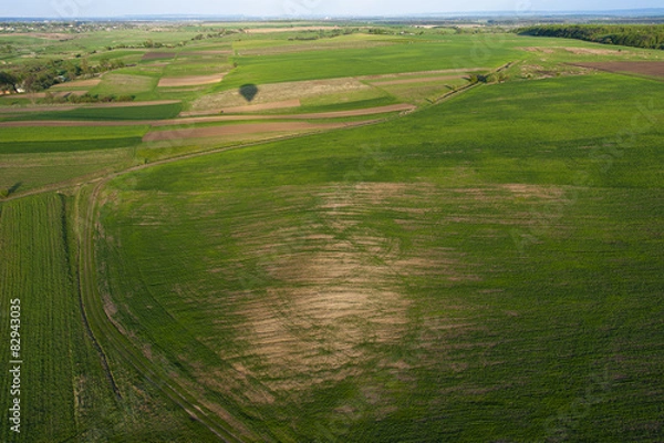 Fototapeta Green fields at springtime