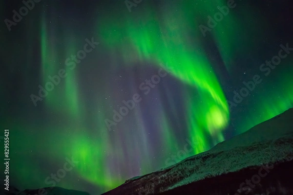 Obraz Tromsø, aurora boreale