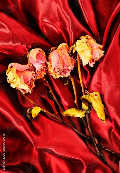 Obraz Wilted rose flowers