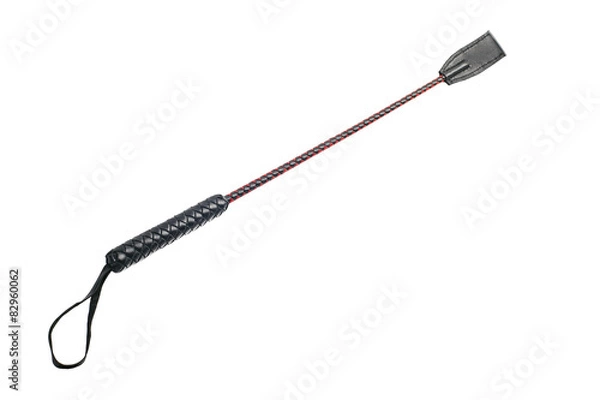 Fototapeta Bat. Na białym tle