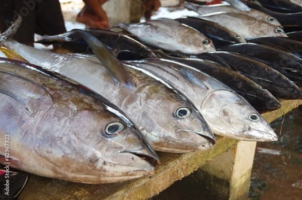 Obraz Poisson au marché