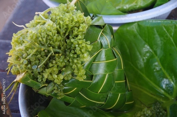 Obraz Algues au marché