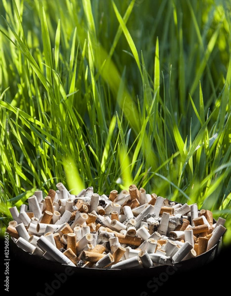 Obraz Smoking against nature
