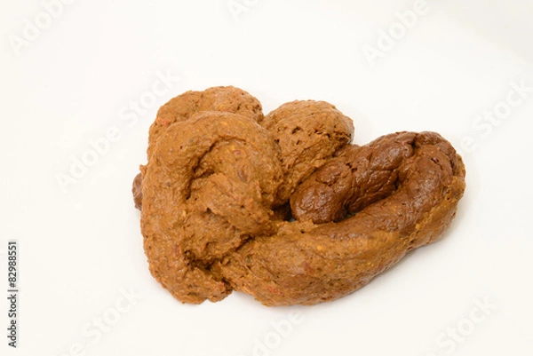 Obraz Real Human Feces On White Background